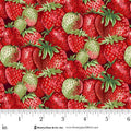 2260-86 Red/Green || Berry Besties
