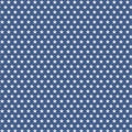 Americana Digital Stars Y4776-89 Dark Denim