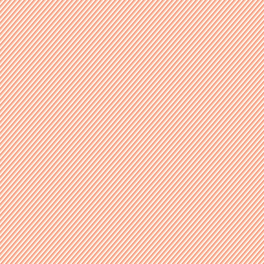 New Beginnings Stripes Apricot