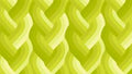 Echo Braid Acid Green 42380 23