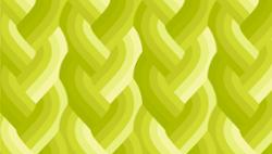 Echo Braid Acid Green 42380 23