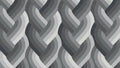 Echo Braid Black 42380 14