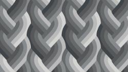 Echo Braid Black 42380 14