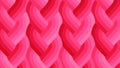 Echo Braid Dark Pink 42380 28