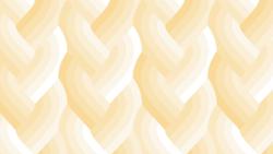Echo Braid Ivory 42380 12