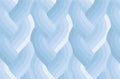 Echo Braid Light Blue 42380 16