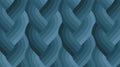 Echo Braid Navy 42380 18