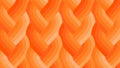 Echo Braid Orange 42380 31