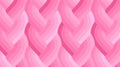 Echo Braid Pink 42380 27