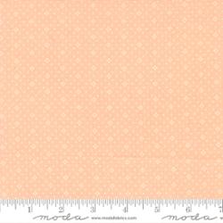 Eyelet Cantaloupe 20488 29