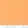 Eyelet Orange 20488 74