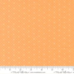 Eyelet Orange 20488 74