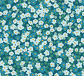 Florescence 90991-64