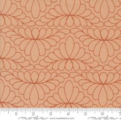 Rainbow Spice Toasted Pecan