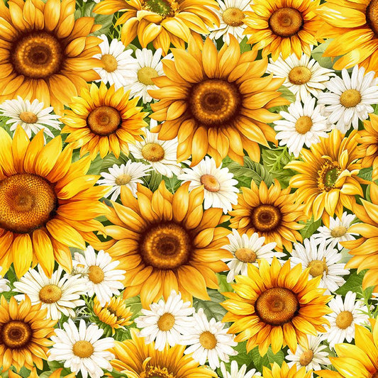 Packed Daisies and Sunflowers