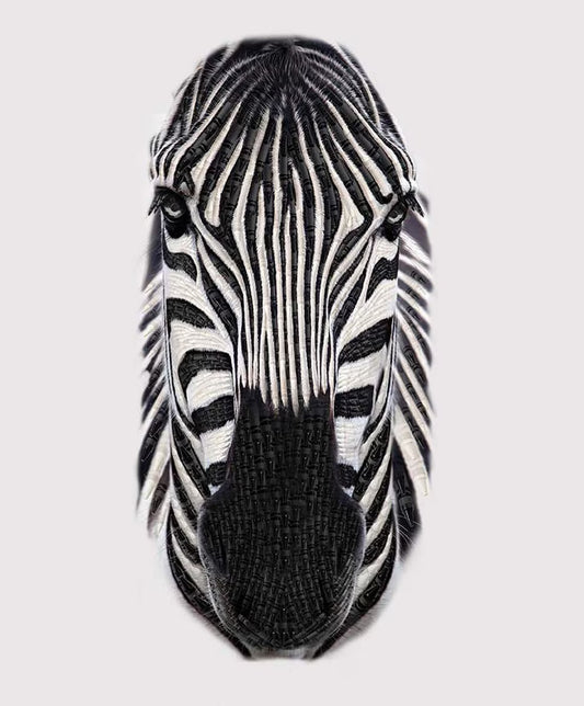 It’S A Crayola World Zebra Panel