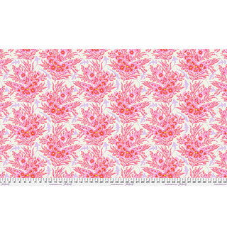 FLORAL REEF-SHADOWSHARK-DELPHINE