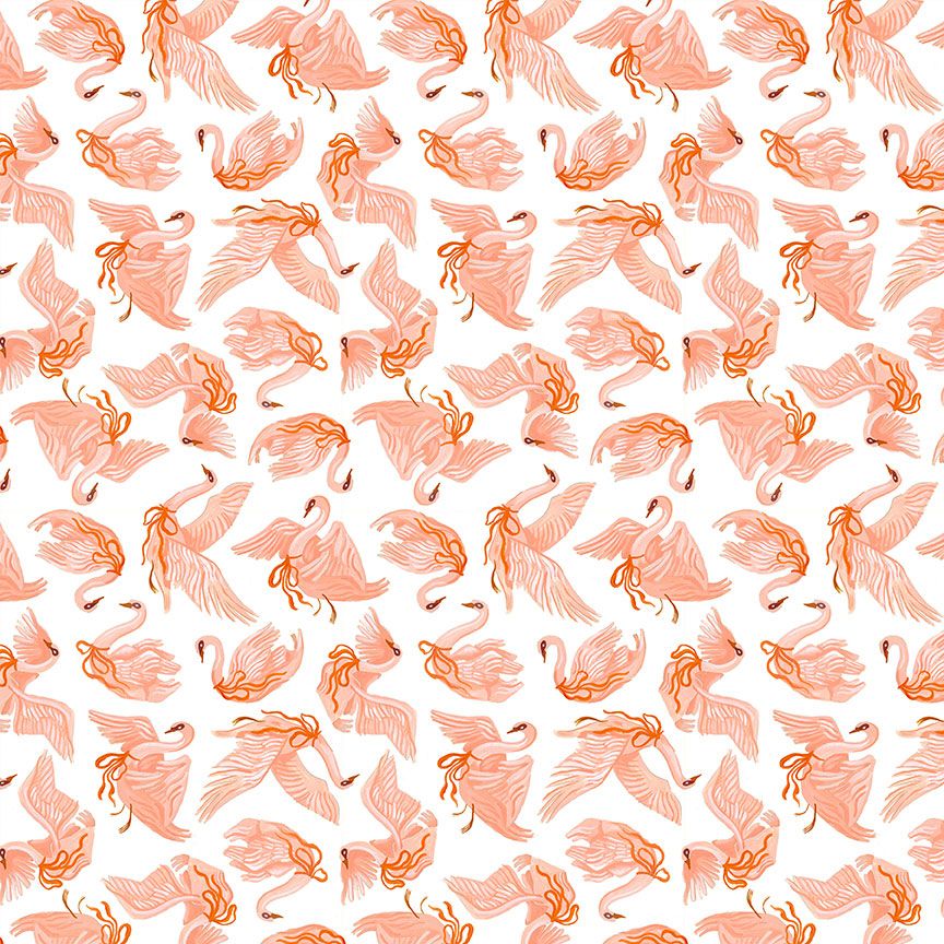 Cygnets/ White