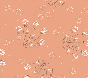 Golden Hour Dandelions